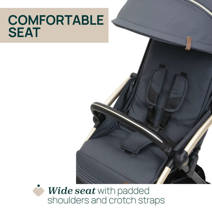 Chicco Goody XPlus Dark Shadow Stroller