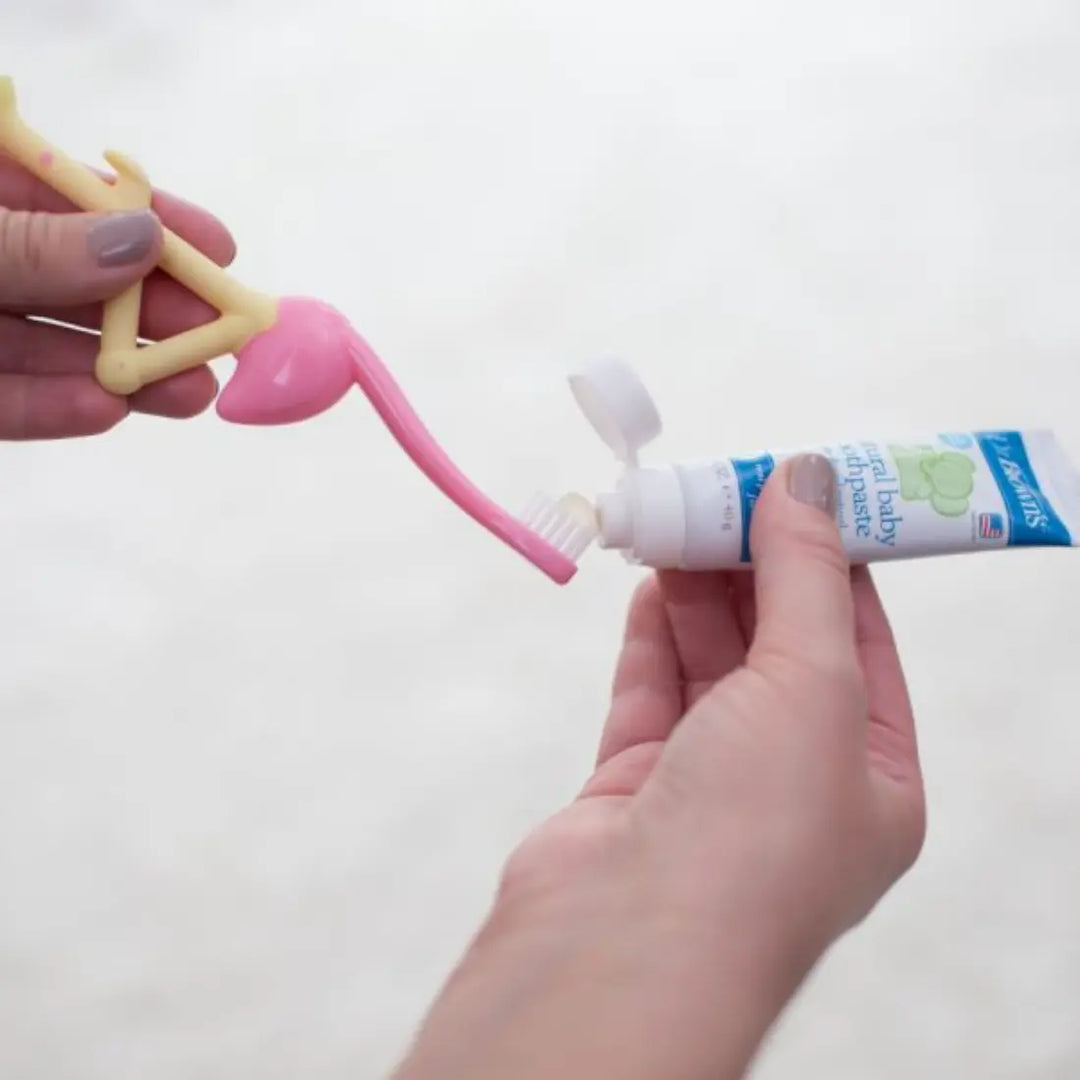 Dr. Brown's Toddler Toothbrush (Flamingo)
