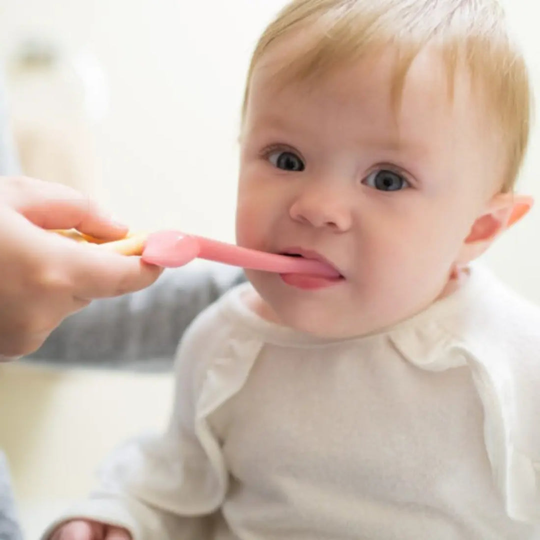 Dr. Brown's Toddler Toothbrush (Flamingo)