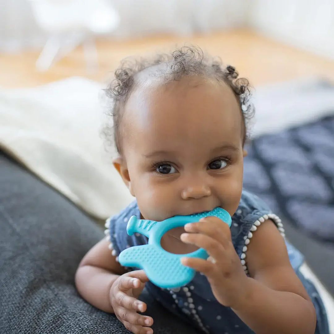 Dr. Brown's Flexees Friends Teether (Elephant)