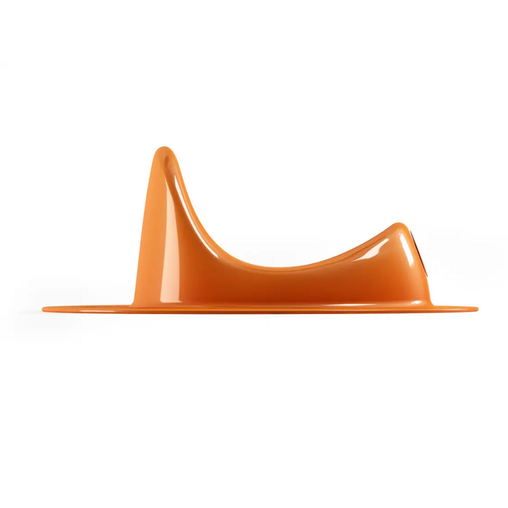 OK Baby Ergo Toilet Training Seat (Orange)