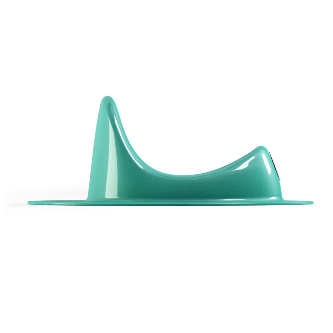OK Baby Ergo Toilet Training Seat (Turquoise)