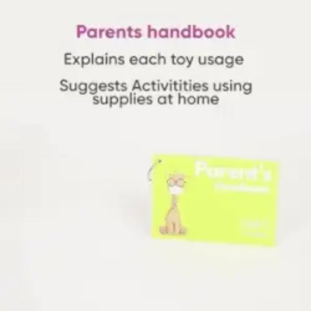 Curious Cub Montessori Box - 7 Months+ (Level 4)