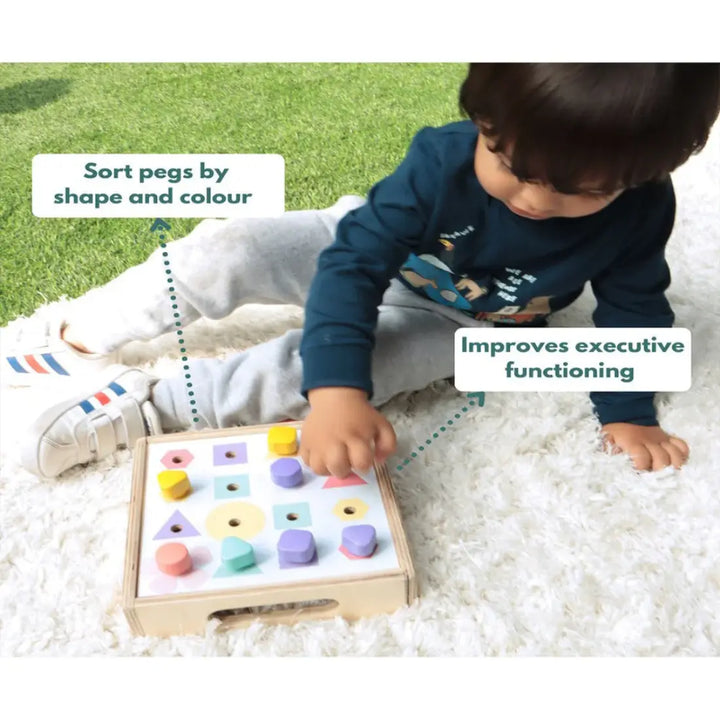 Curious Cub Shape & Colour Matching Board