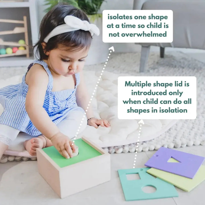 Curious Cub 4-In  1 Shape Sorter