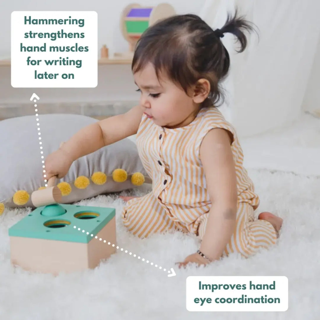 Curious Cub Montessori Box - 13 Months+ (Level 7)