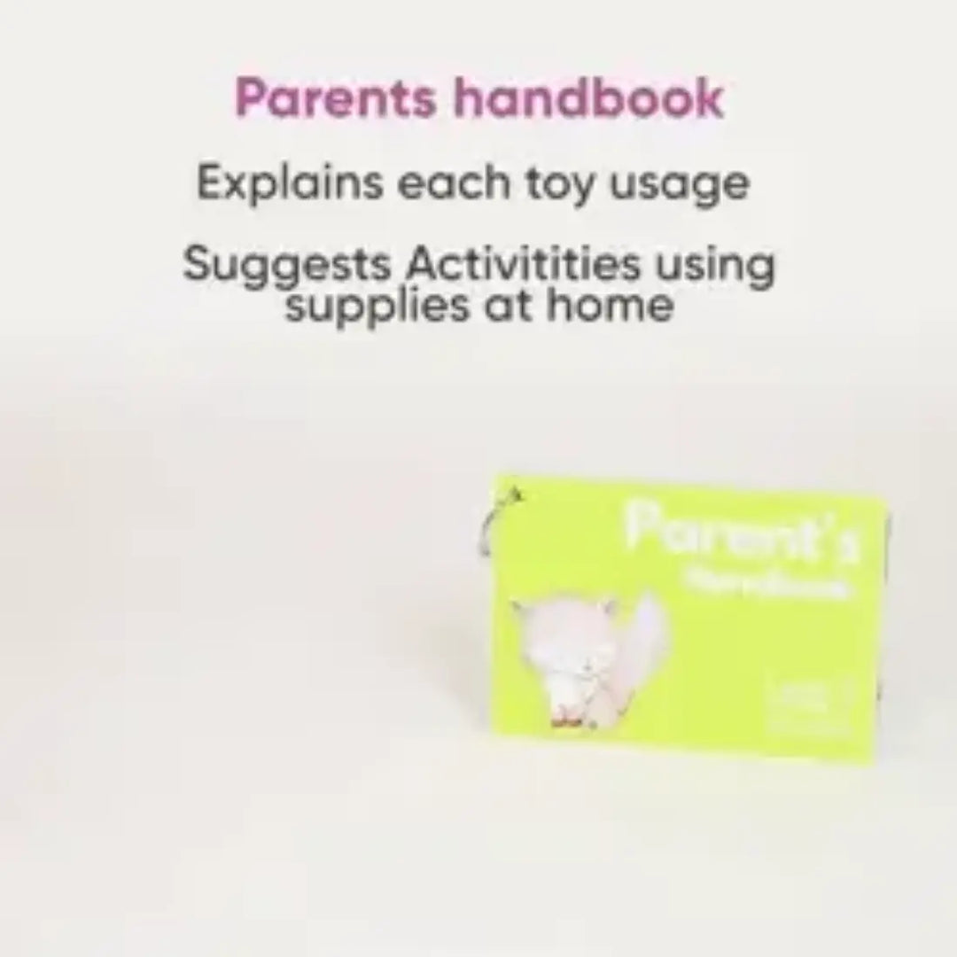 Curious Cub Montessori Box - 13 Months+ (Level 7)