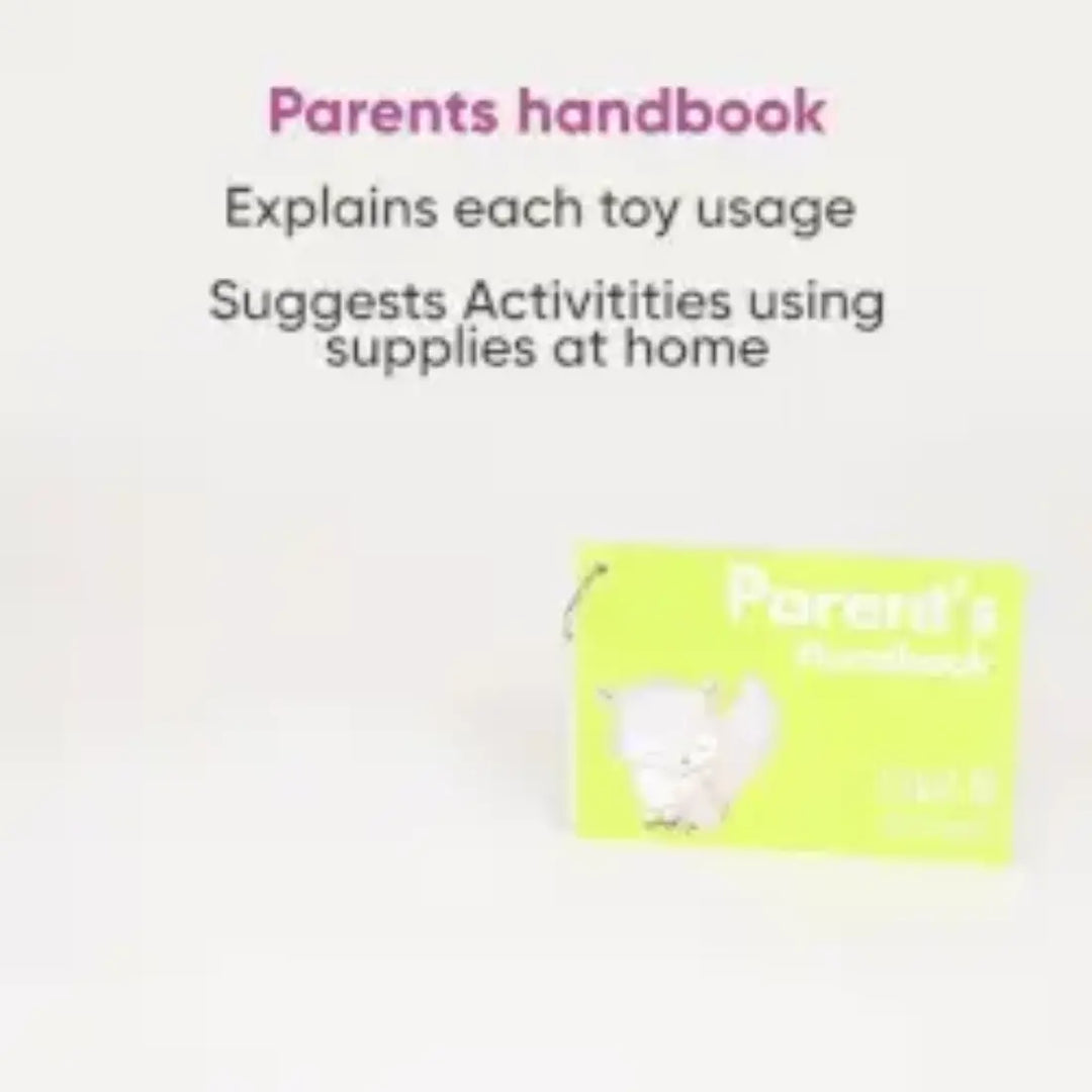 Curious Cub Montessori Box - 21 Months+ (Level 10)