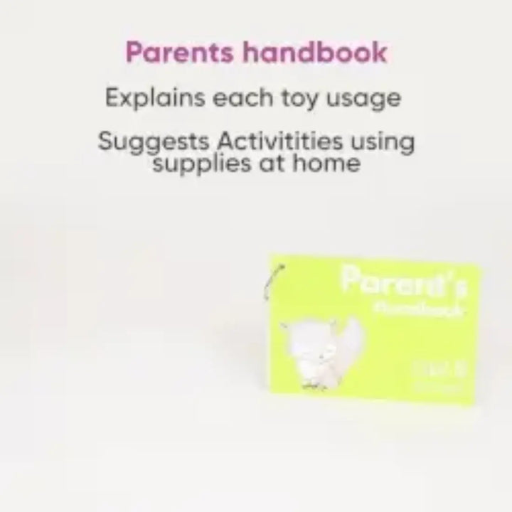 Curious Cub Montessori Box - 21 Months+ (Level 10)