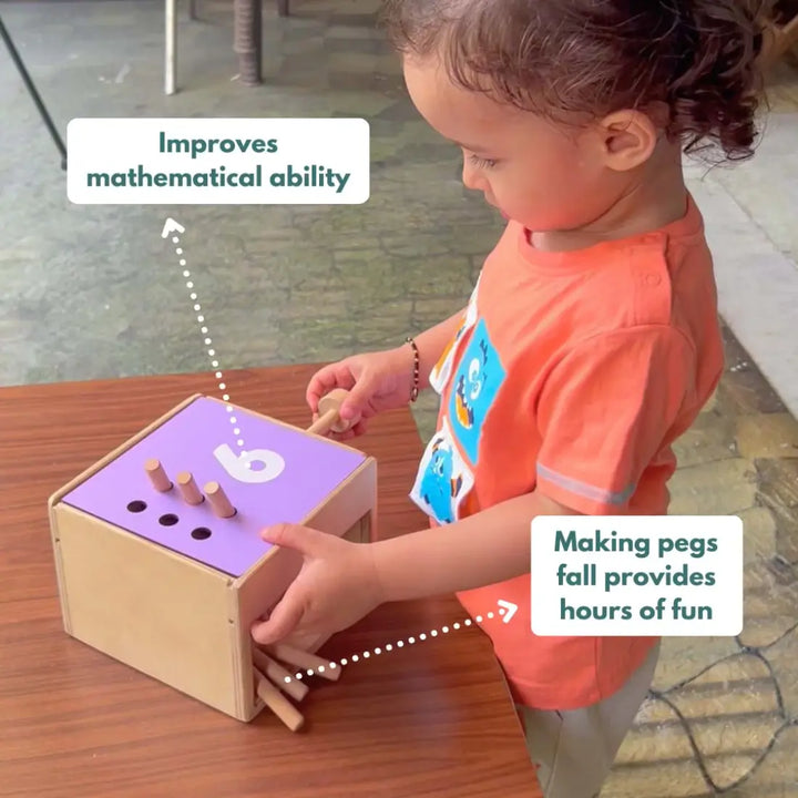Curious Cub Montessori Box - 24 Months+ (Level 11)
