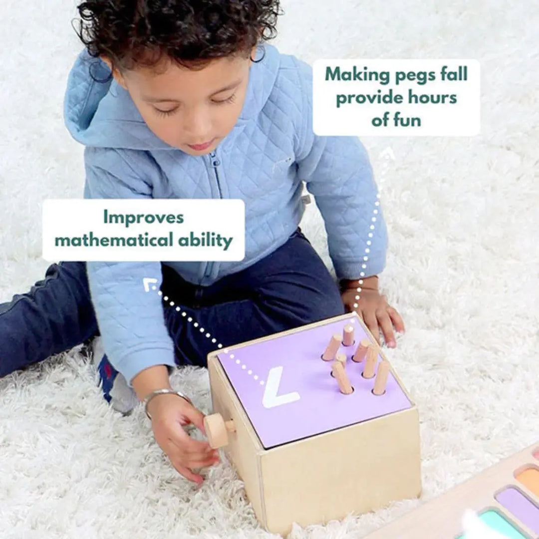 Curious Cub Montessori Box - 24 Months+ (Level 11)