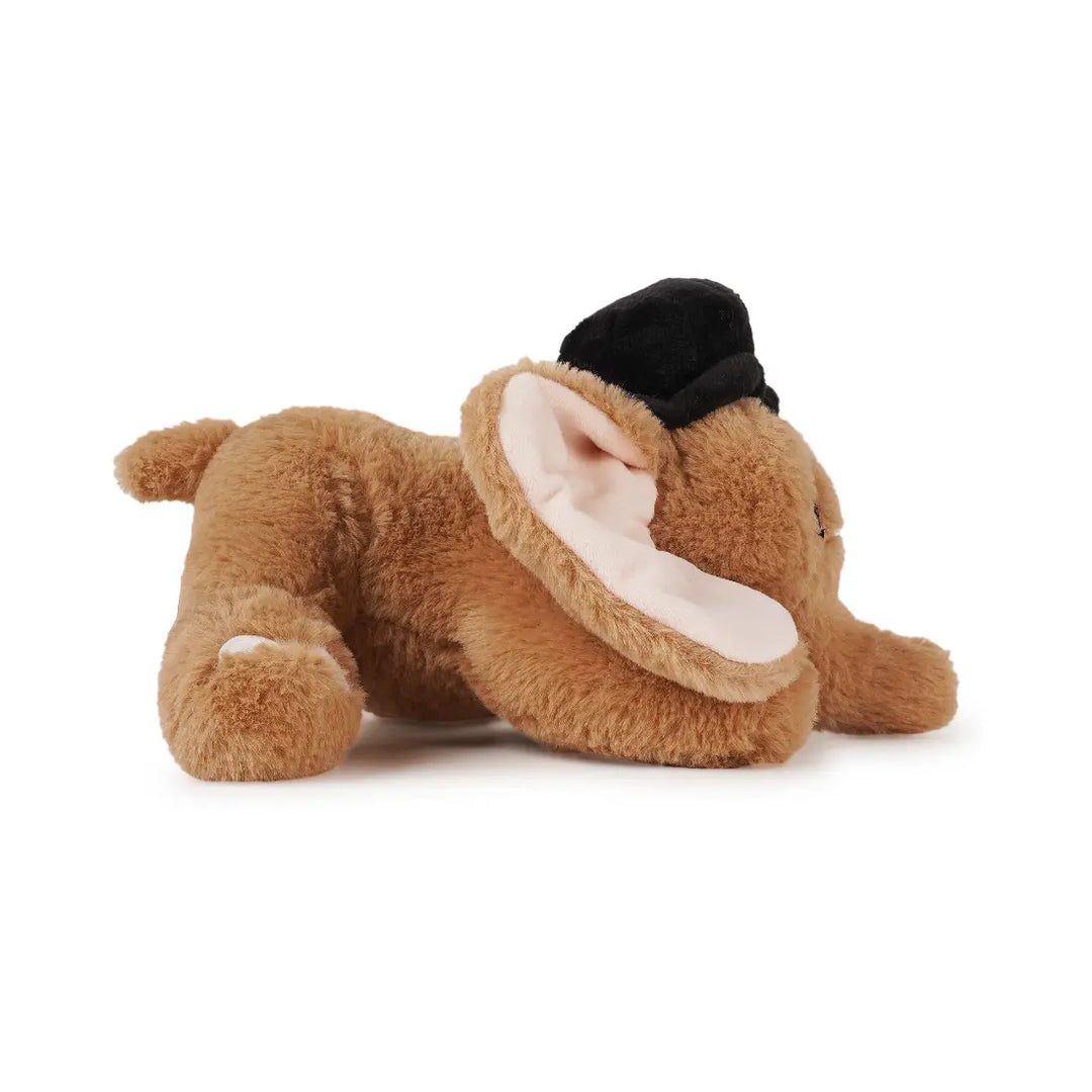 Jeannie Magic Elephant - Brown (25cm)