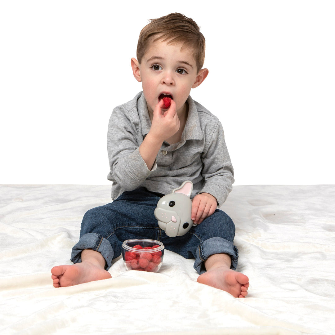 melii Snack Container - Bulldog - 1 pack