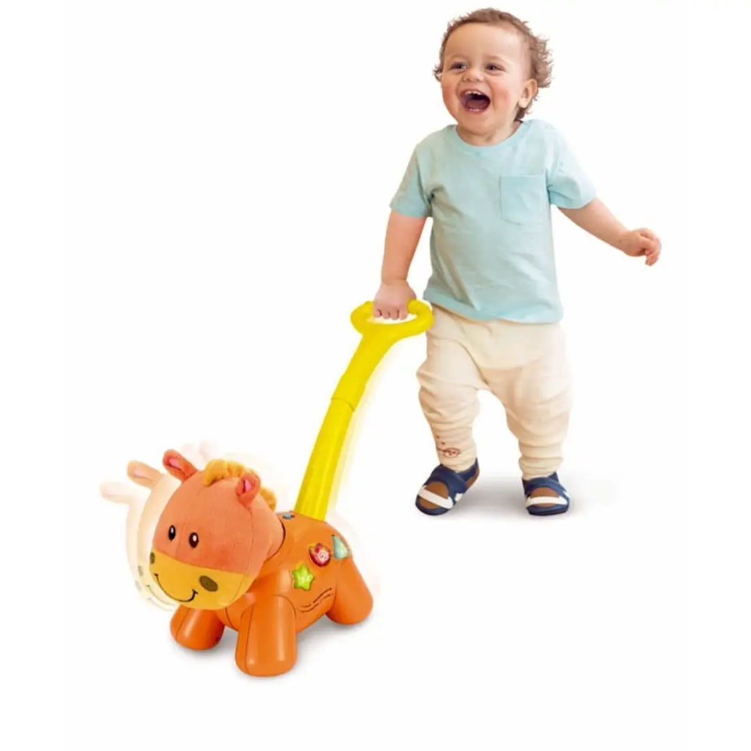 Winfun Push ’N Walk Pony