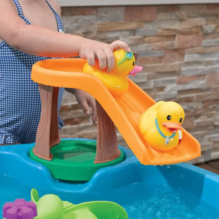 Step2 Duck Pond Water Table