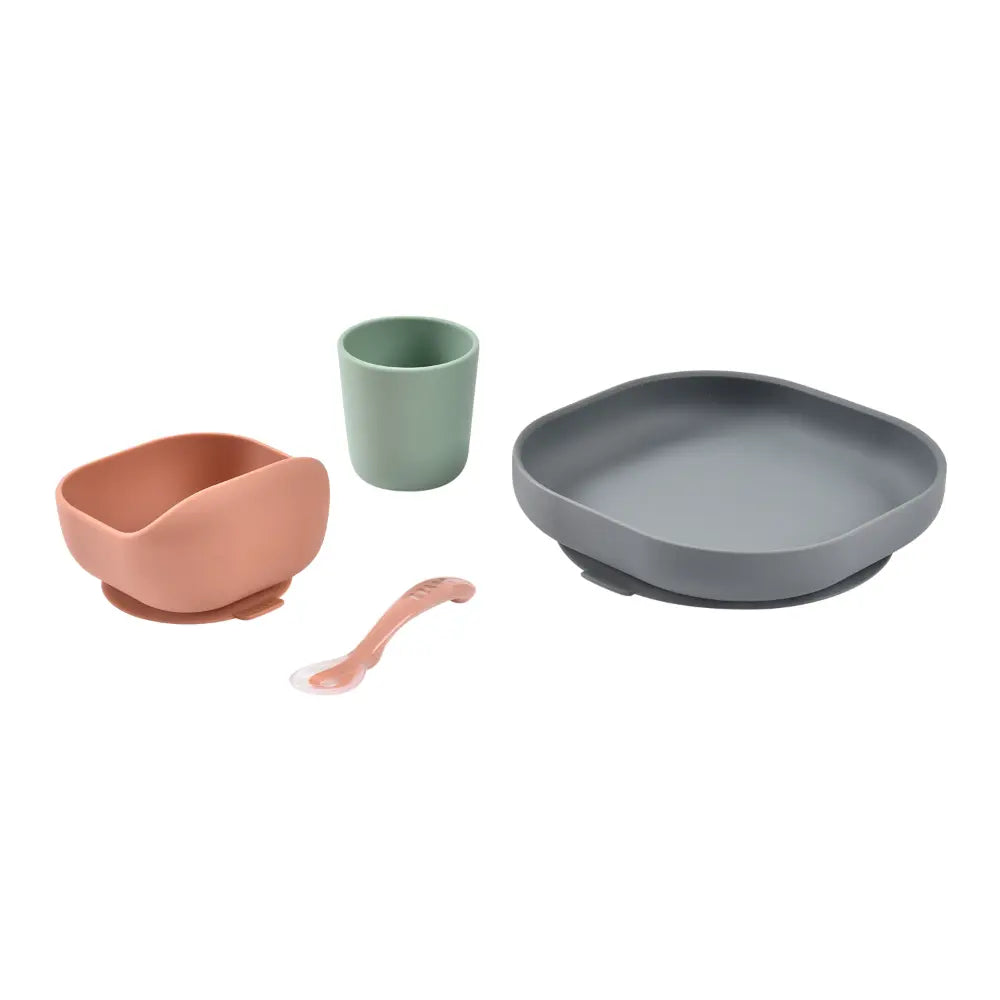 Beaba Silicone Meal Set (4 Pcs)