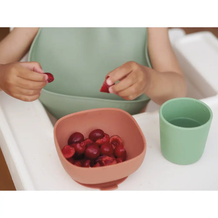 Beaba Silicone Bib