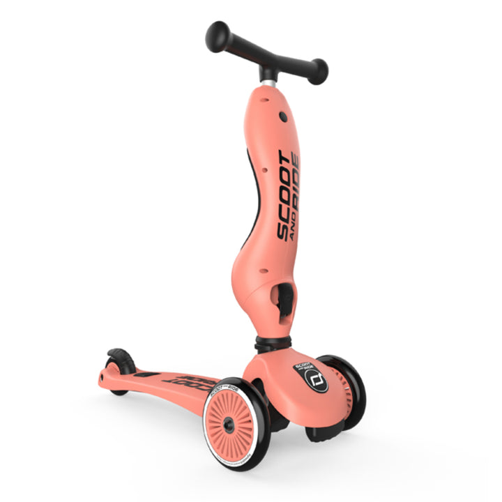 Scoot and Ride Highwaykick 1