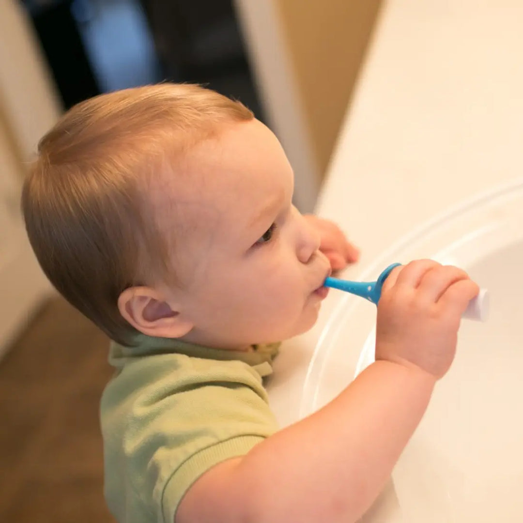 Dr. Brown's Infant-To-Toddler Toothbrush (Blue Elephant)