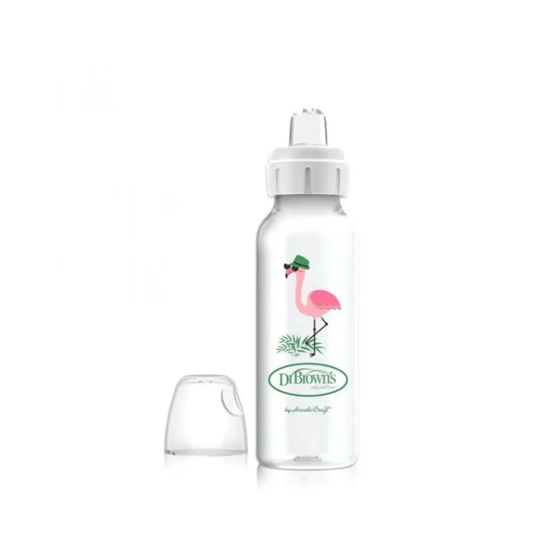 Dr. Brown's Narrow Sippy Spout Bottle (Flamingo)