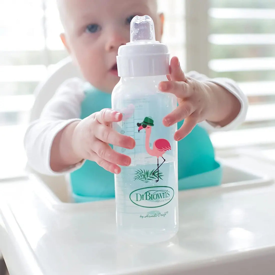 Dr. Brown's Narrow Sippy Spout Bottle (Flamingo)