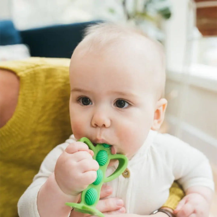 Dr. Brown's Peapod Teething Toothbrush (Green)