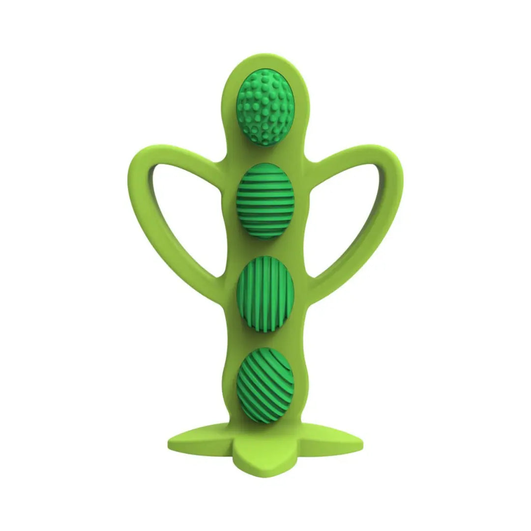 Dr. Brown's Peapod Teething Toothbrush (Green)