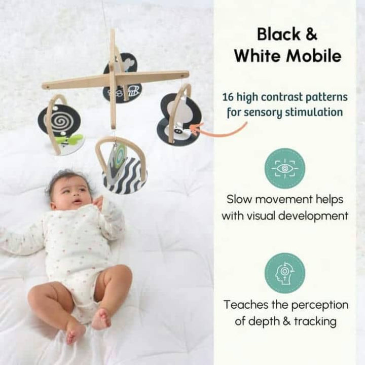 Curious Cub The Newborn Montessori Box - 0 Months+ (Level 1)