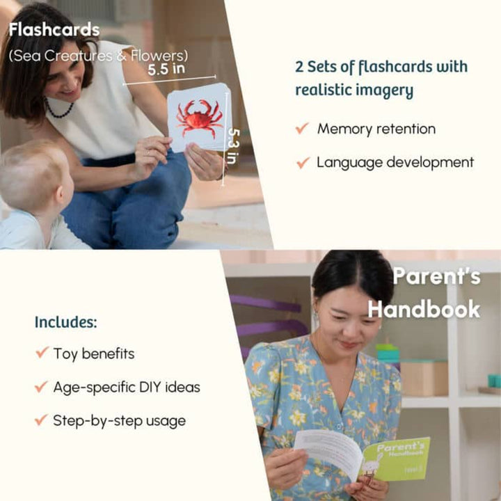 Curious Cub The Talker Montessori Box - 21 Months+ (Level 10)