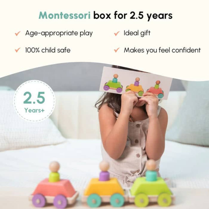 Curious Cub The Problem Solver Montessori Box -  2 Years 9 Months+ (Level 14)