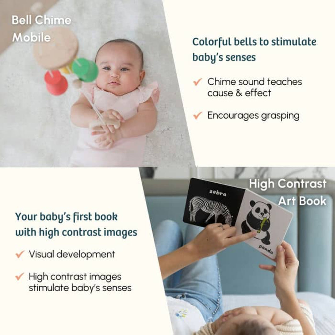 Curious Cub The Lifter Montessori Box - 3 Months+ (Level 2)