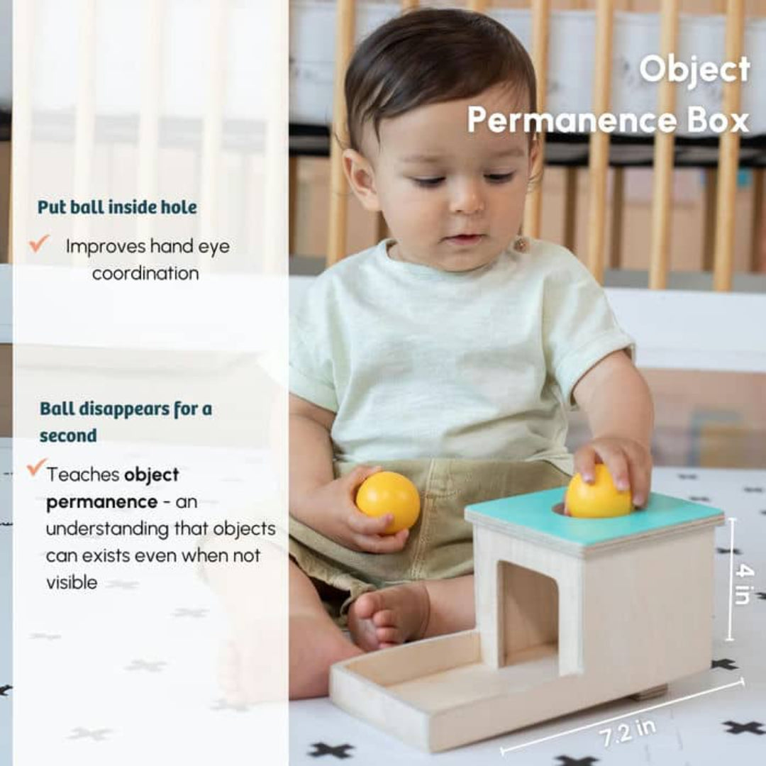 Curious Cub The On-The-Move Montessori Box - 7 Months+ (Level 4)