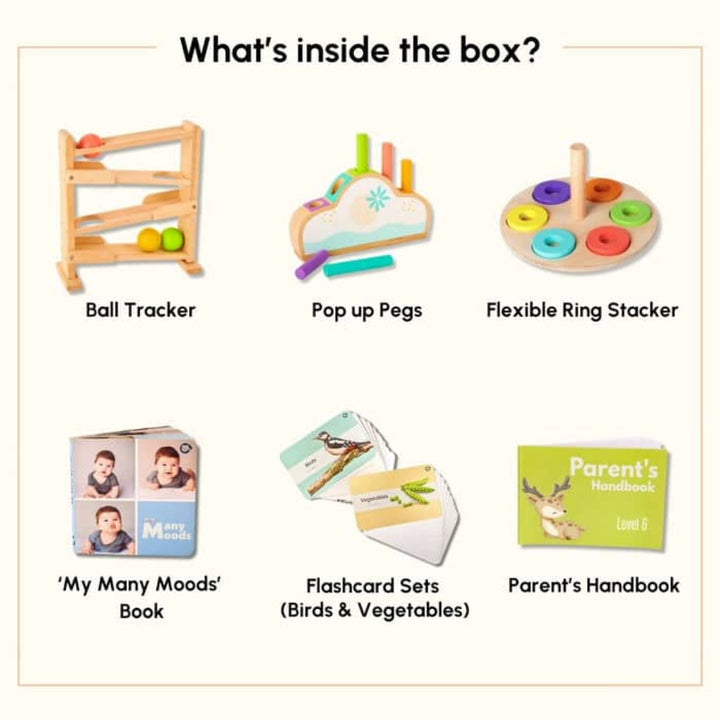 Curious Cub The Brave One Montessori Box - 11 Months+ (Level 6)