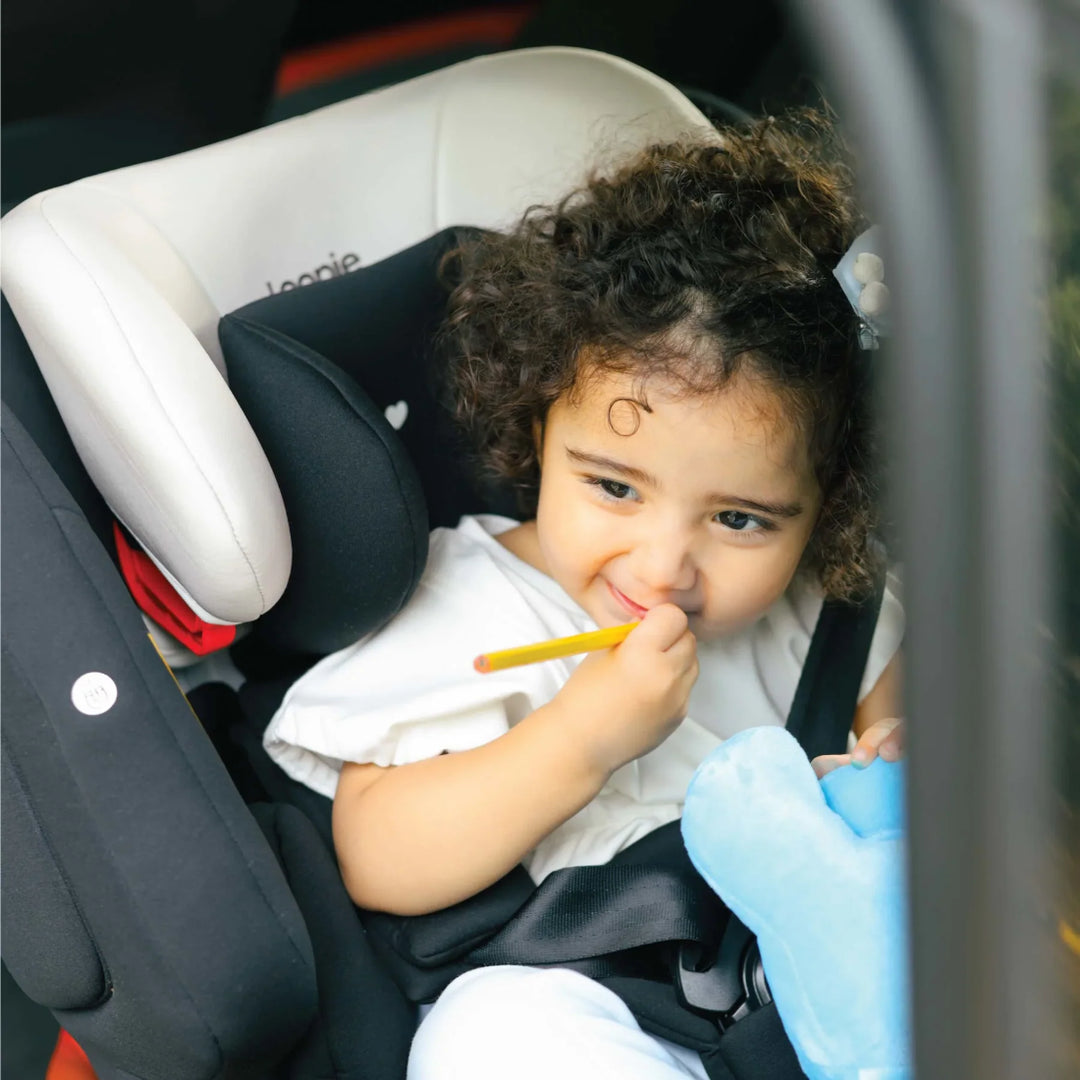 Loopie Lap | 0-12 yrs | Convertible Car Seat