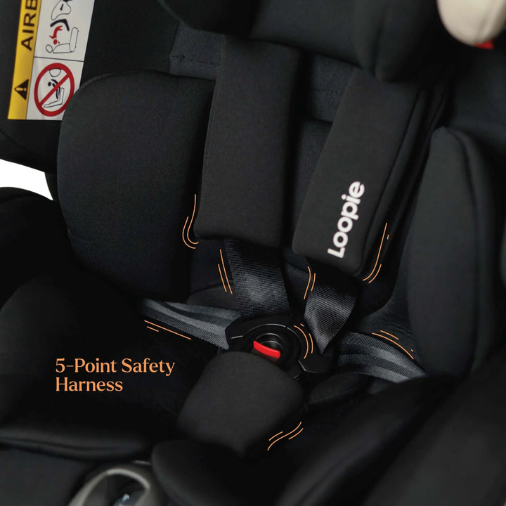 Loopie Lap | 0-12 yrs | Convertible Car Seat