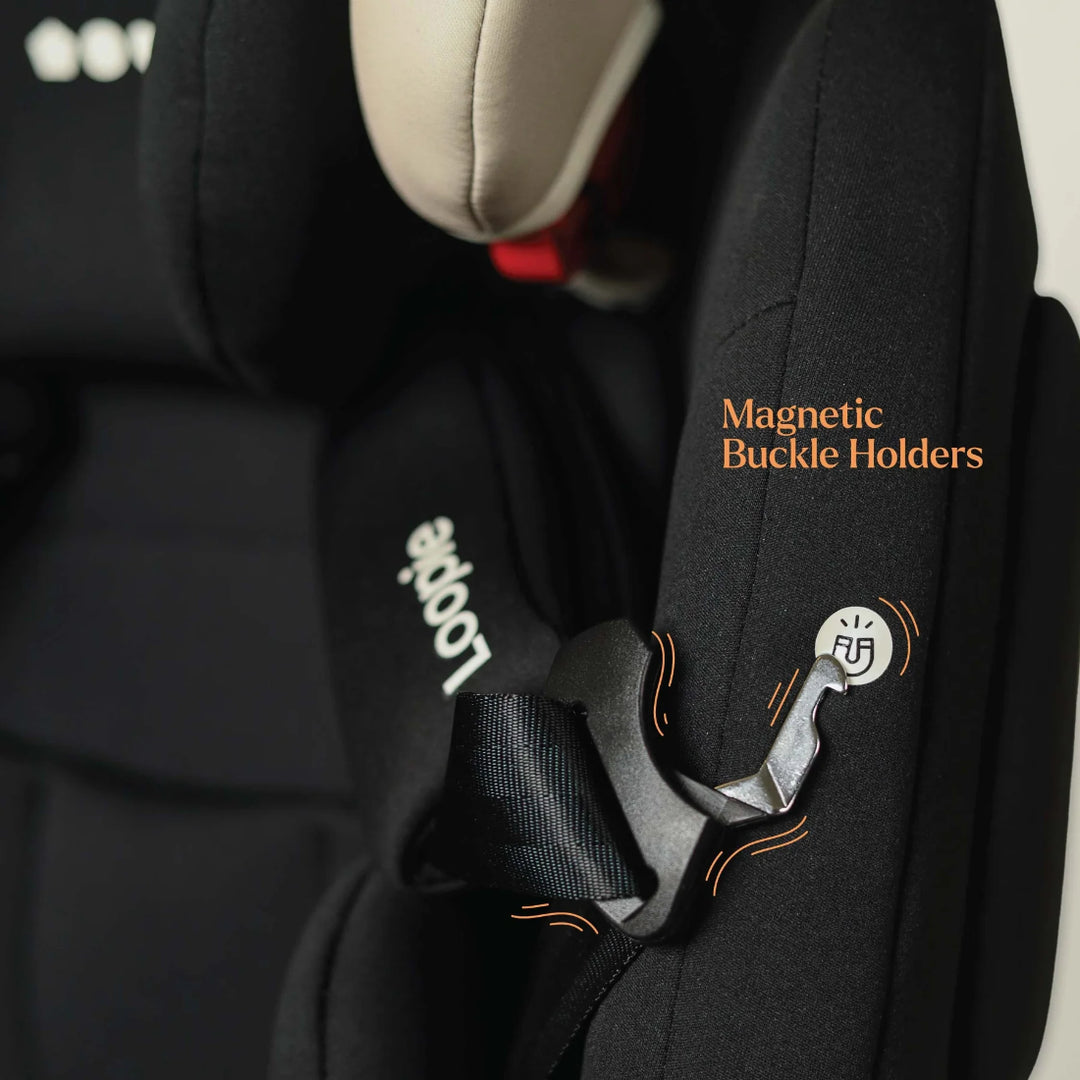 Loopie Lap | 0-12 yrs | Convertible Car Seat