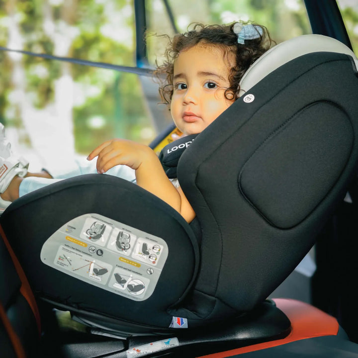 Loopie Lap | 0-12 yrs | Convertible Car Seat