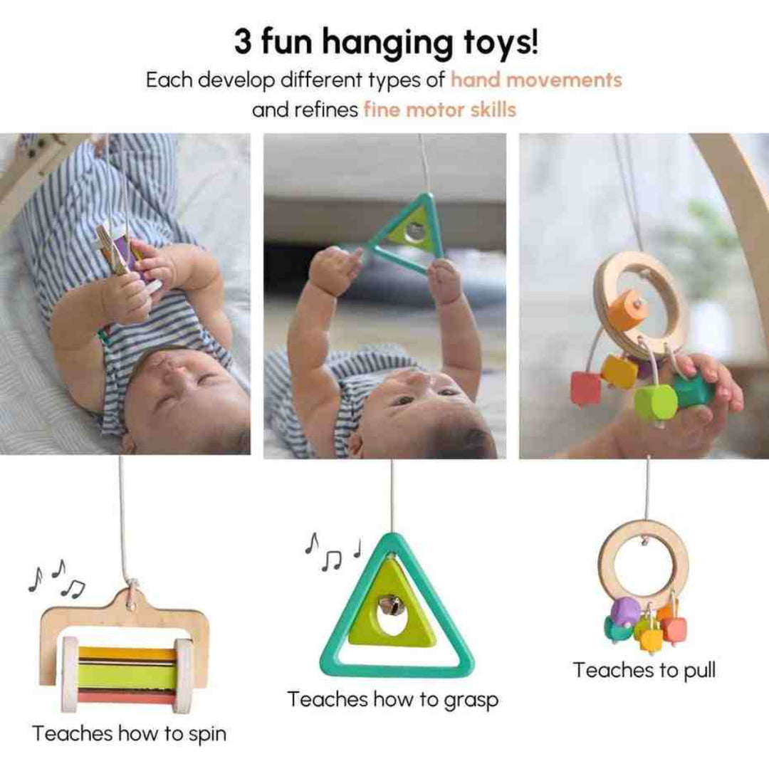 Curious Cub Play Gym