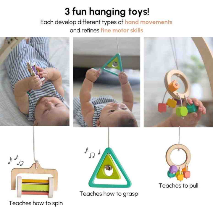 Curious Cub Play Gym