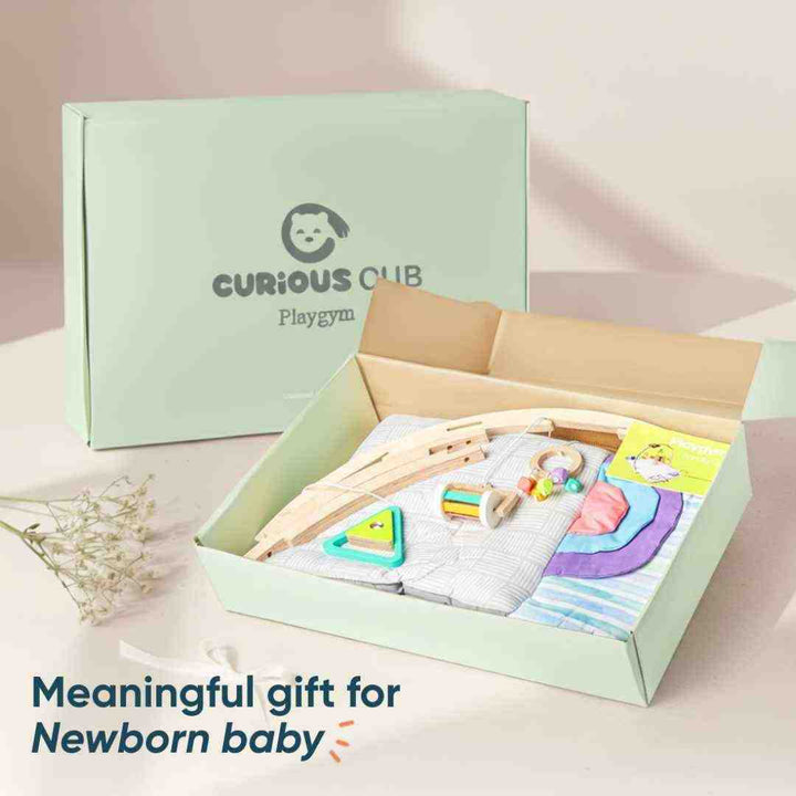 Curious Cub Play Gym