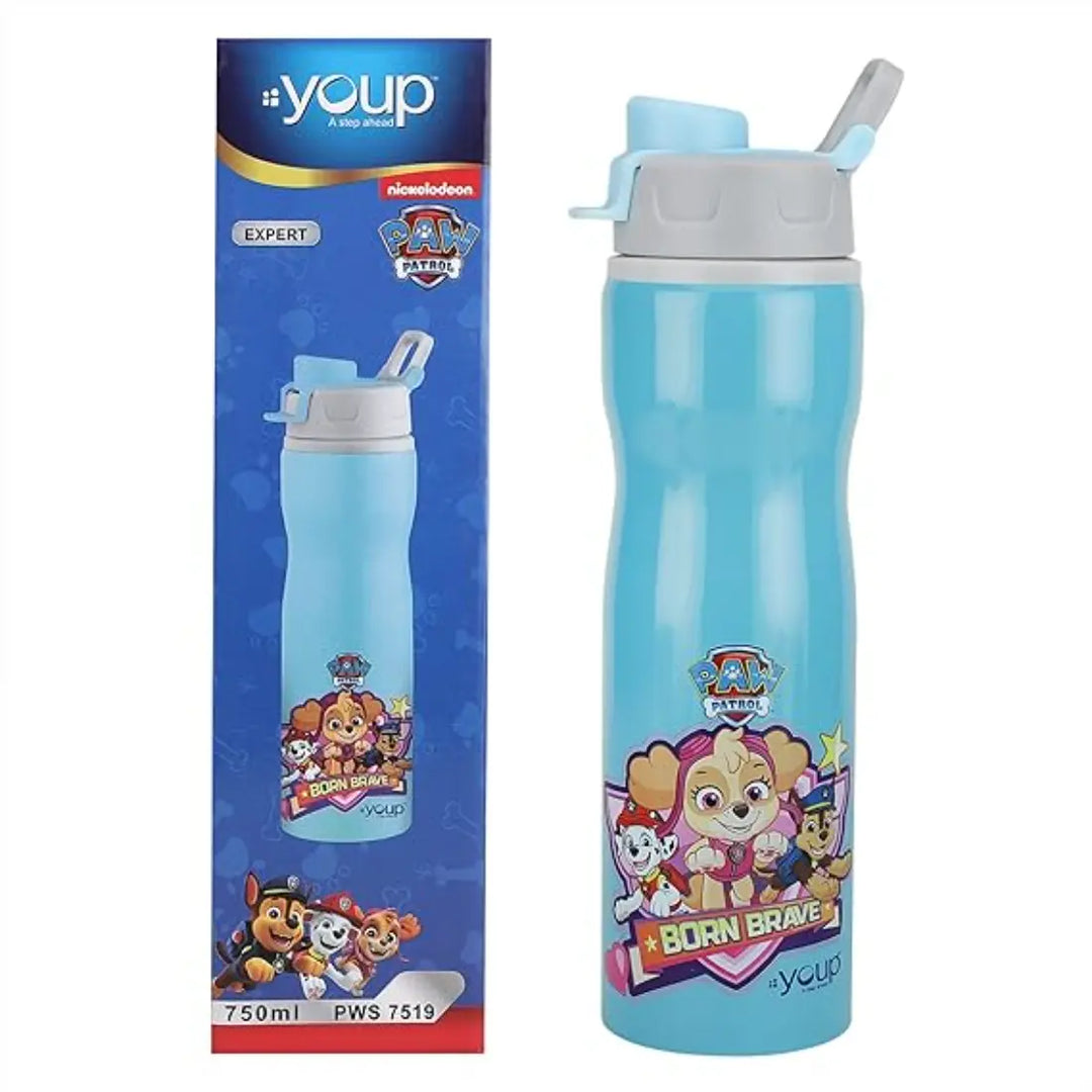 PAW Patrol Stainless Steel Bottle - Expert (750 ml) - Blue