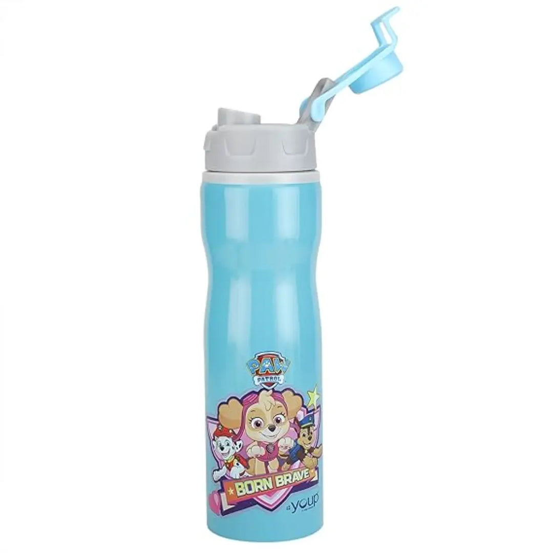 PAW Patrol Stainless Steel Bottle - Expert (750 ml) - Blue