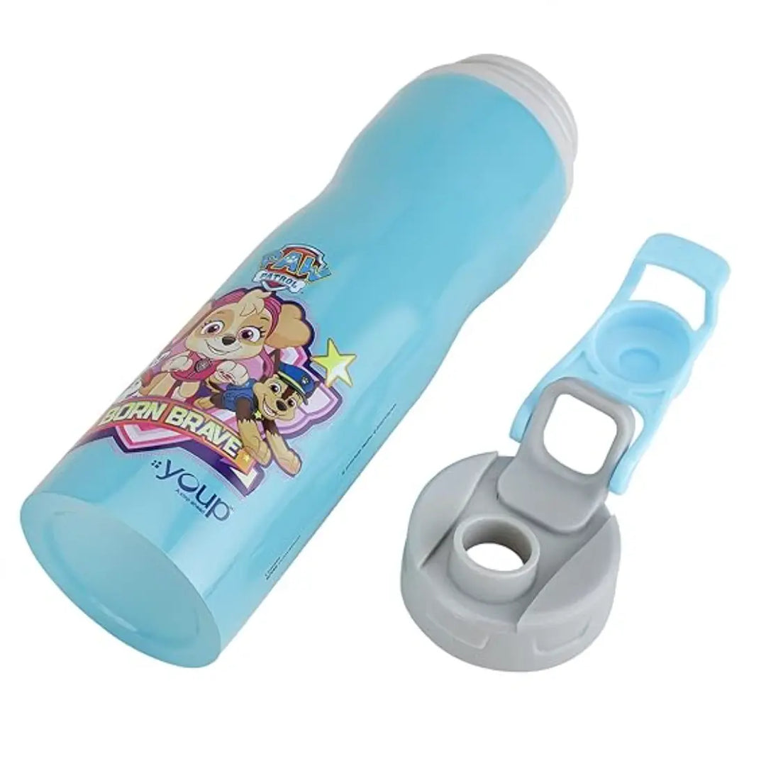 PAW Patrol Stainless Steel Bottle - Expert (750 ml) - Blue