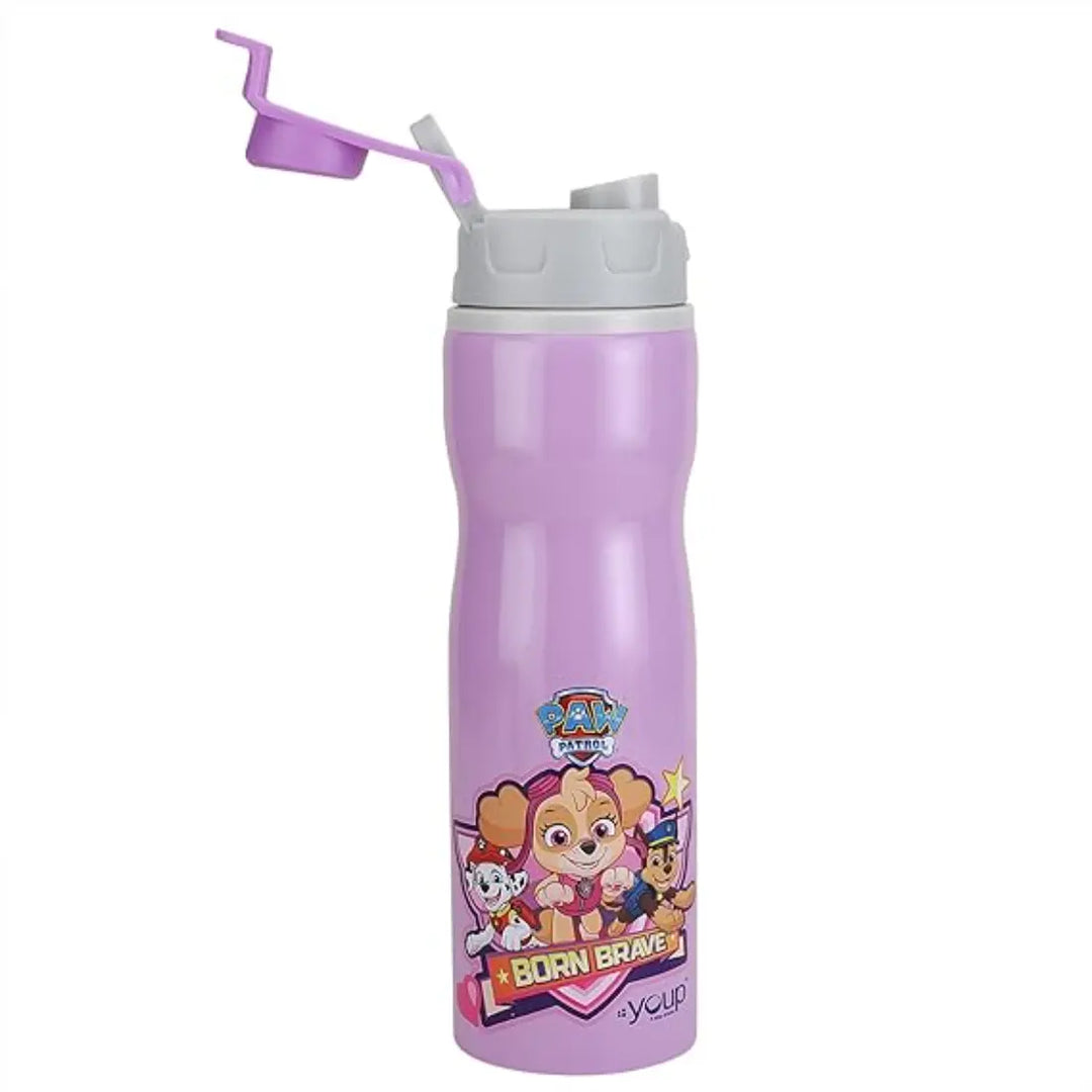 PAW Patrol Stainless Steel Bottle - Expert (750 ml) - Purple