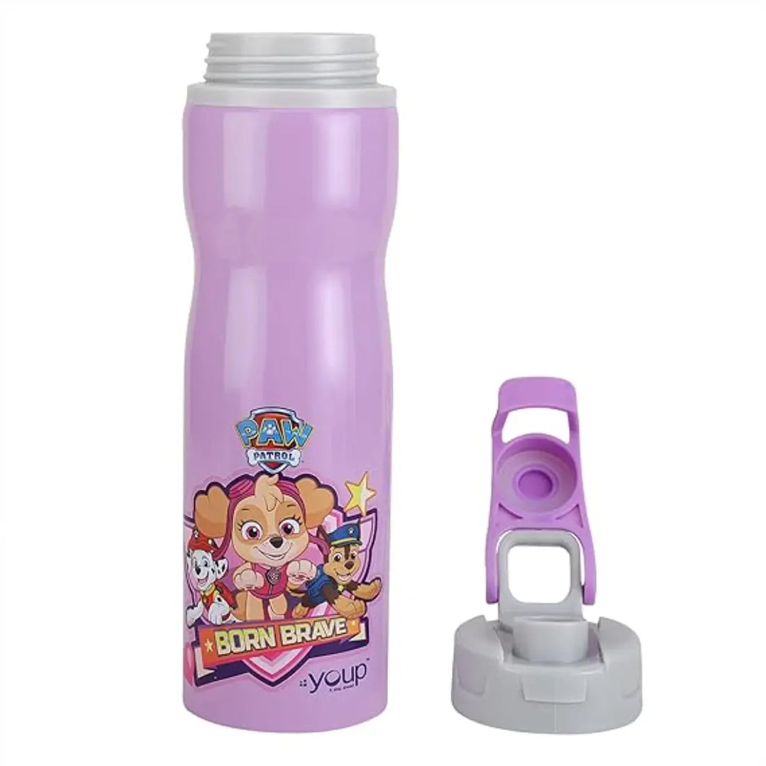 PAW Patrol Stainless Steel Bottle - Expert (750 ml) - Purple