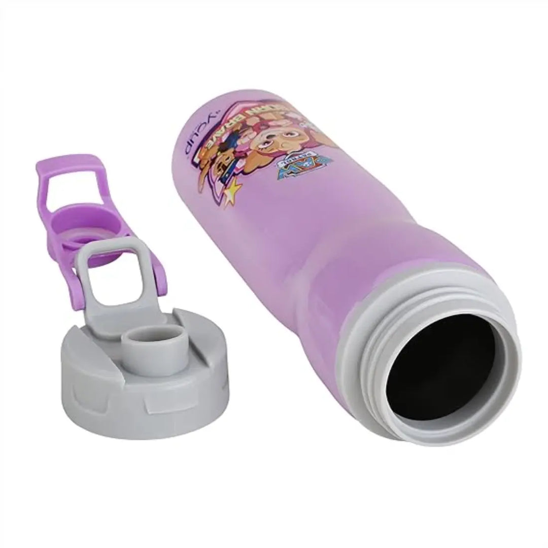 PAW Patrol Stainless Steel Bottle - Expert (750 ml) - Purple