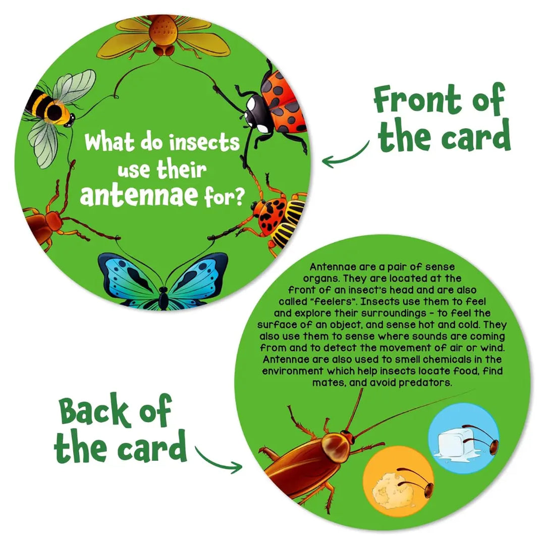 Skillmatics Science Snippets All About Animals