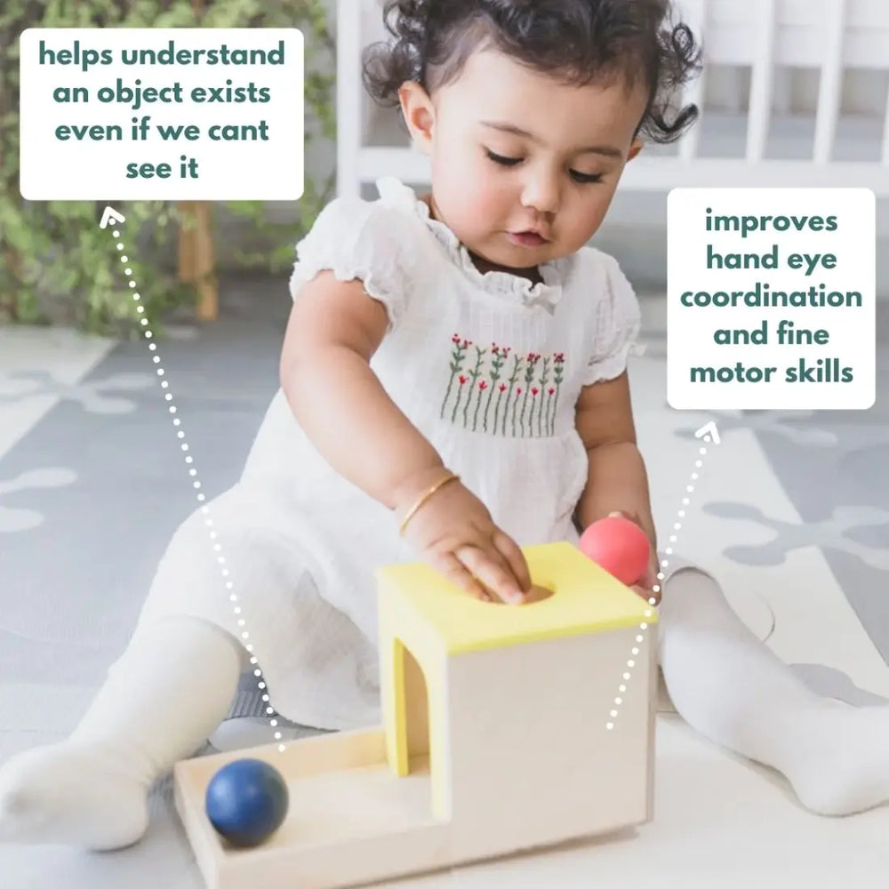 Curious Cub Montessori Box - 7 Months+ (Level 4)