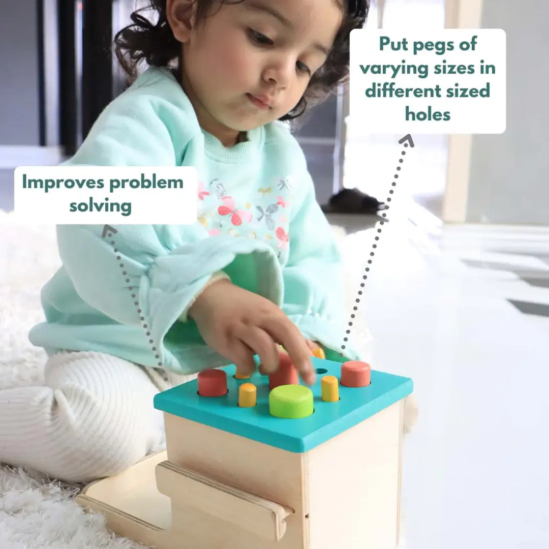 Curious Cub Montessori Box -  2 Years 6 Months+ (Level 13)